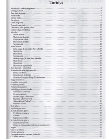 Gitaros pradžiamokslis (su CD)
