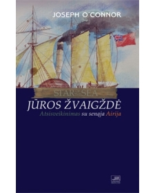 Jūros žvaigždė