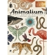 Animalium. Didysis gyvūnų muziejus