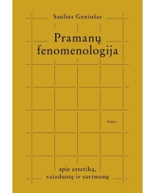 Pramanų fenomenologija: apie estetiką, vaizduotę ir savimonę