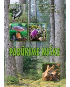 Pabūkime miške