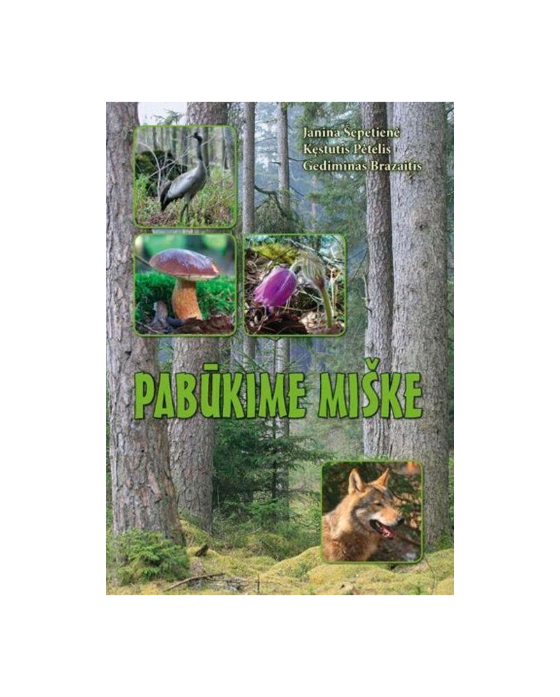 Pabūkime miške